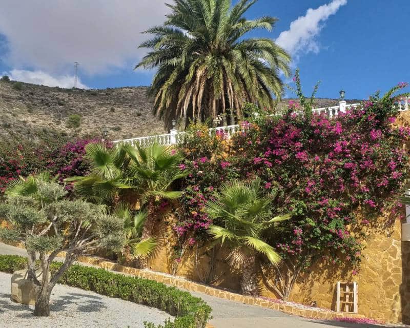 5 chambre Villa/Maison à vendre à Hondon de las Nieves avec piscine garage - 1 149 000 € (Ref: 6640928)