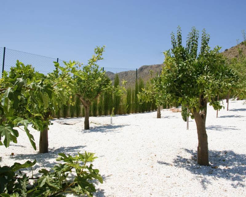 5 chambre Villa/Maison à vendre à Hondon de las Nieves avec piscine garage - 1 149 000 € (Ref: 6640928)