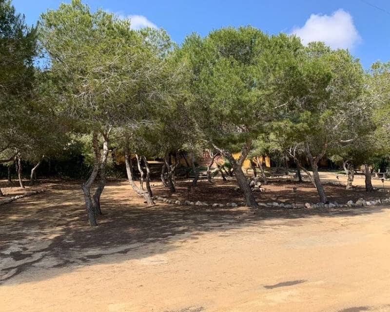 6 quarto Moradia para venda em Ciudad Quesada - 1 000 000 € (Ref: 6870225)