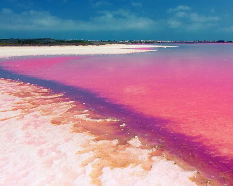 3 Zimmer Apartment zu verkaufen in Playa Flamenca mit Pool Garage - 522.000 € (Ref: 7029192)