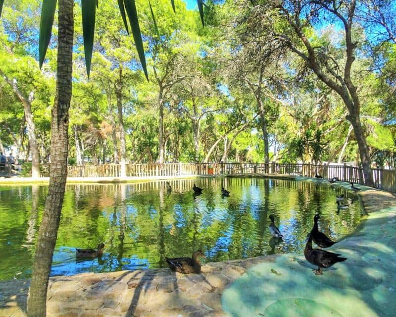 3 chambre Appartement à vendre à Guardamar del Segura avec piscine garage - 539 000 € (Ref: 7108899)