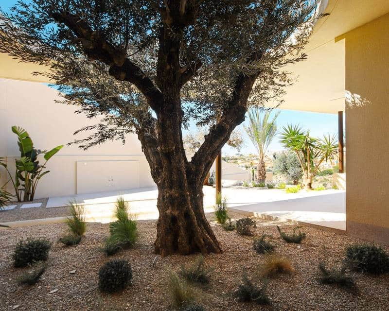 4 soveværelse Villa til salg i La Marina med swimmingpool garage - € 1.444.000 (Ref: 7157234)