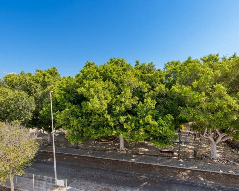 3 makuuhuone Huvila myytävänä paikassa Torre de la Horadada mukana uima-altaan 
autotalli - 539 900 € (Ref: 7359490)