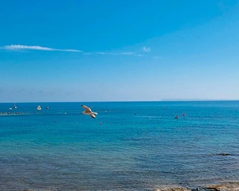 3 soveværelse Lejlighed til salg i Alicante by med swimmingpool garage - € 1.015.173 (Ref: 7379267)