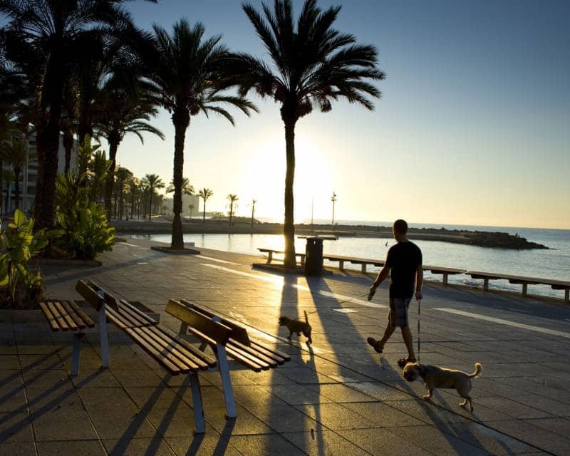 3 slaapkamer Appartement te koop in Punta Prima met zwembad garage - € 434.000 (Ref: 7530968)