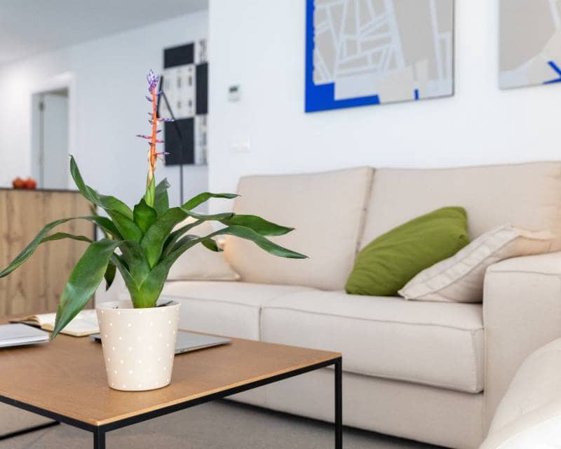 3 makuuhuone Huvila myytävänä paikassa Polop mukana uima-altaan - 470 000 € (Ref: 7736936)