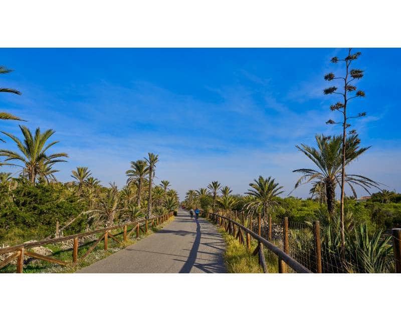 Building Plot for sale in Guardamar del Segura - € 550,000 (Ref: 7750413)