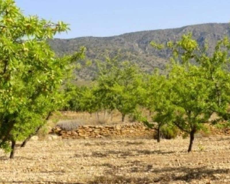 3 soveværelse Villa til salg i Ubeda med swimmingpool - € 425.000 (Ref: 7826525)