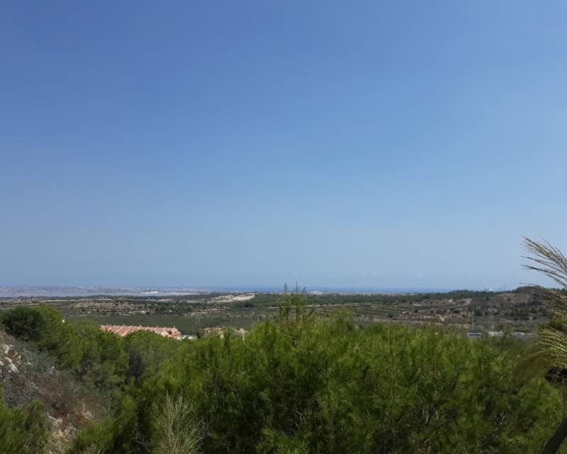 3 Zimmer Villa zu verkaufen in San Miguel de Salinas mit Pool - 649.000 € (Ref: 7992616)