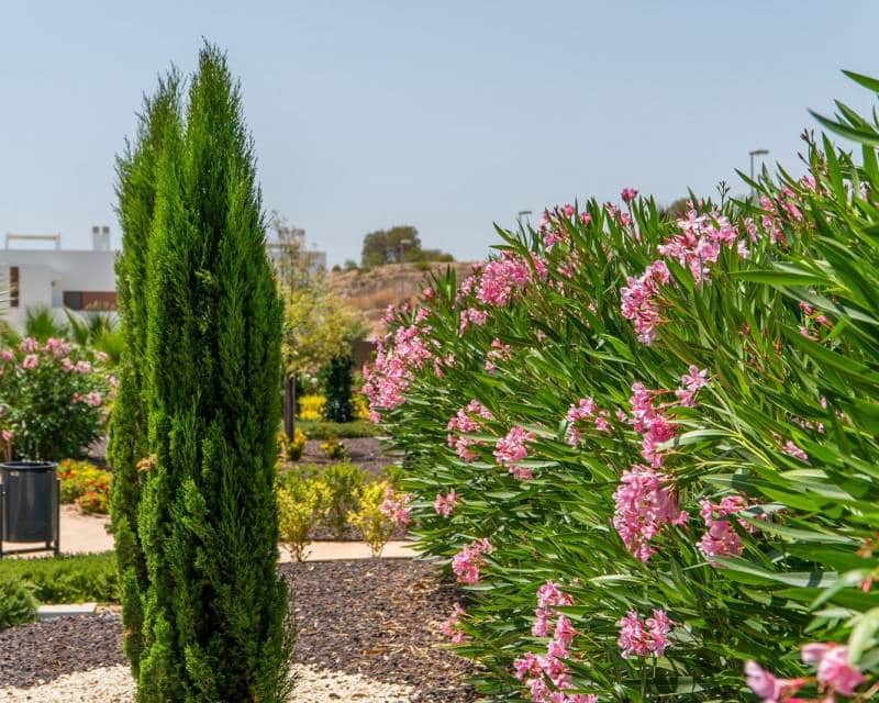 2 chambre Maison de Ville à vendre à Vistabella avec piscine garage - 269 300 € (Ref: 8164207)