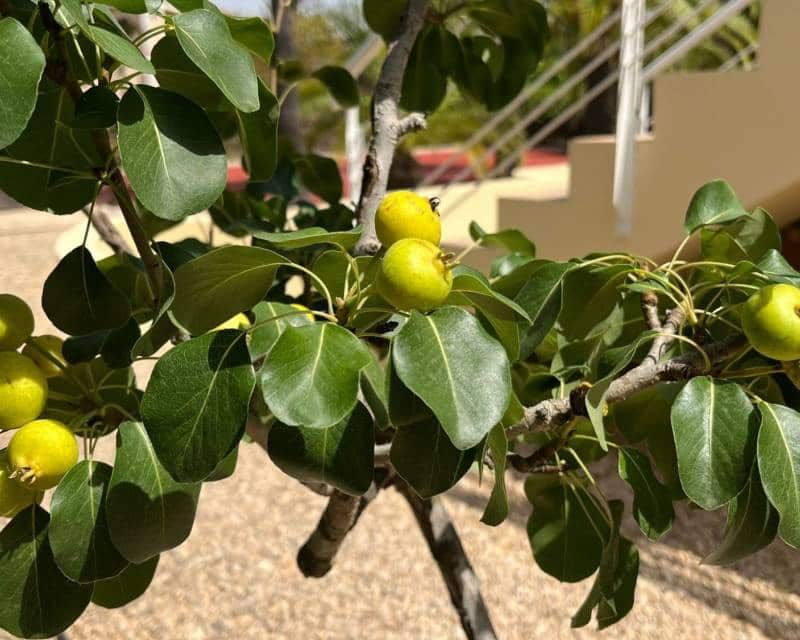 7 soveværelse Villa til salg i Benidorm med swimmingpool garage - € 1.595.000 (Ref: 8212064)