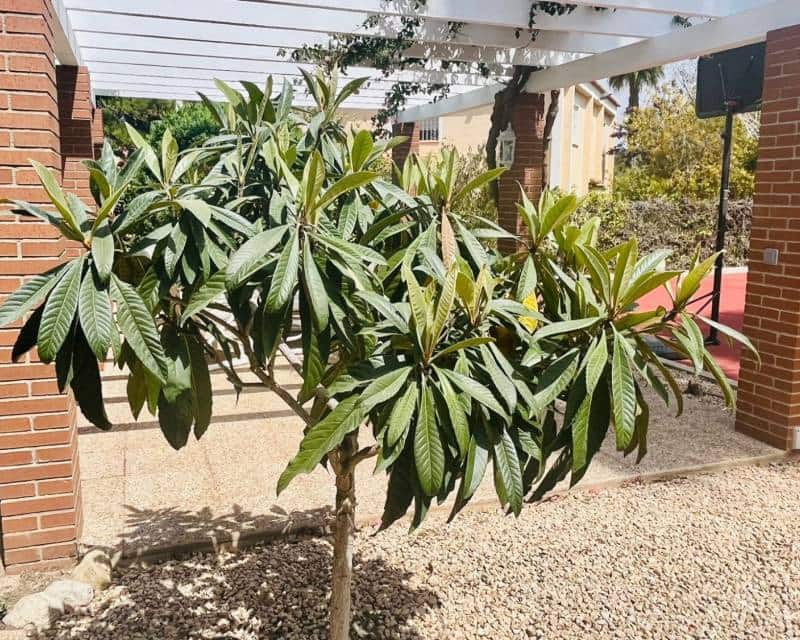 7 soveværelse Villa til salg i Benidorm med swimmingpool garage - € 1.595.000 (Ref: 8212064)