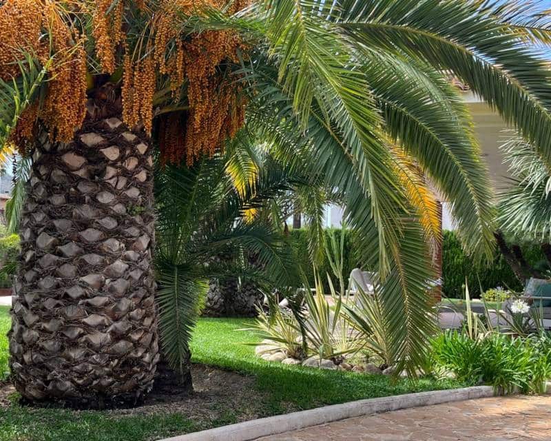 7 soveværelse Villa til salg i Benidorm med swimmingpool garage - € 1.595.000 (Ref: 8212064)