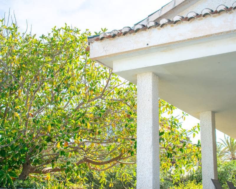 Byggegrund til salg i Cabo Roig - € 1.500.000 (Ref: 8314832)