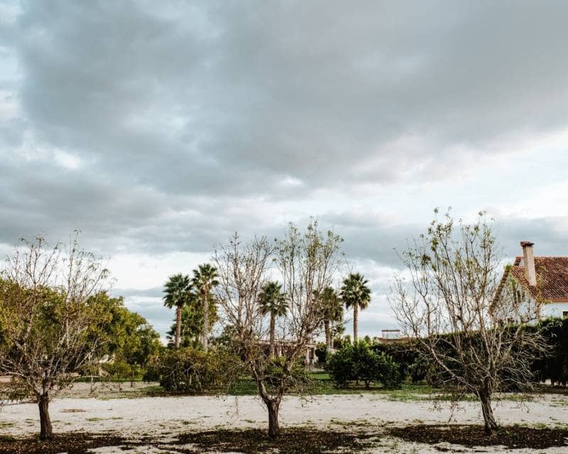 1 soveværelse Villa til salg i Catral med swimmingpool garage - € 675.000 (Ref: 8408784)