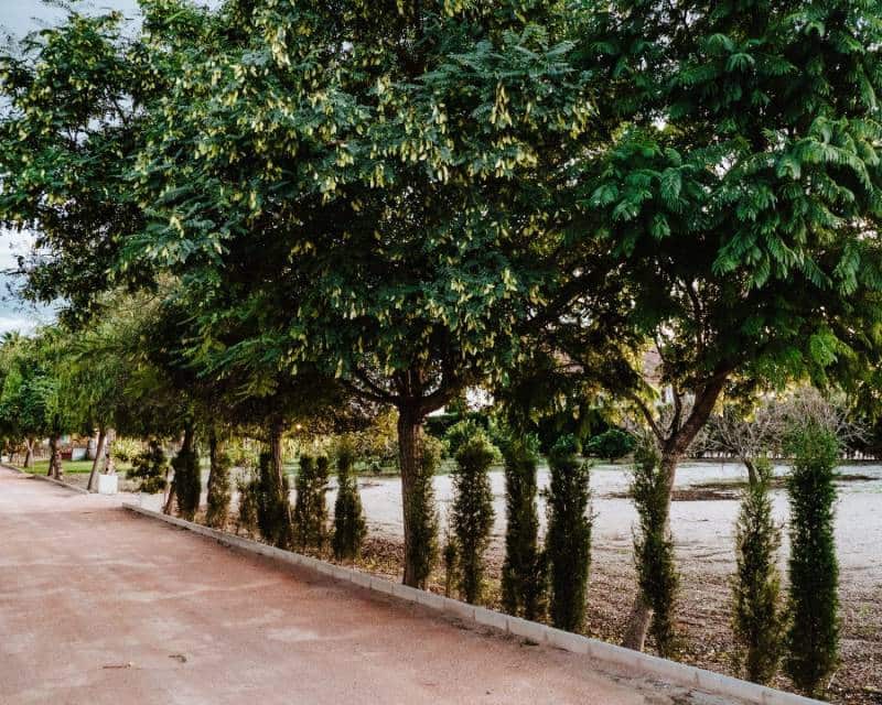 1 soveværelse Villa til salg i Catral med swimmingpool garage - € 675.000 (Ref: 8408784)