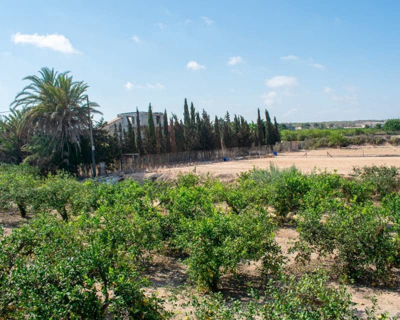 3 soveværelse Villa til salg i El Raso med swimmingpool - € 595.000 (Ref: 8506894)