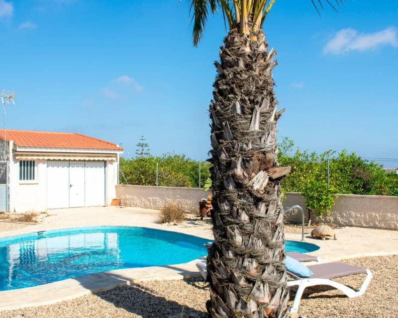 3 soveværelse Villa til salg i El Raso med swimmingpool - € 595.000 (Ref: 8506894)