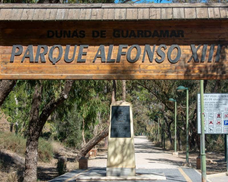 Kommersiell til salgs i Guardamar del Segura - € 415 000 (Ref: 8517315)