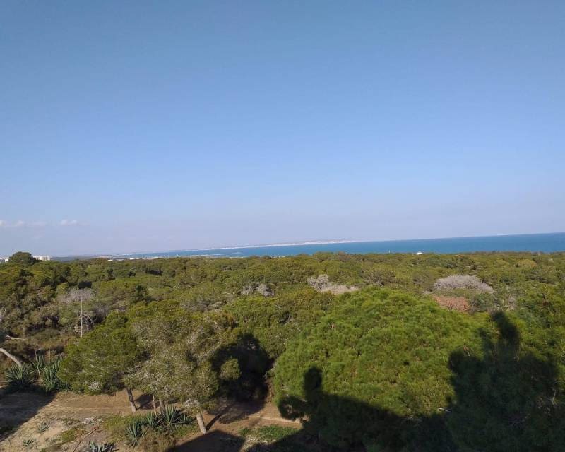 Bauplatz zu verkaufen in Guardamar del Segura - 570.000 € (Ref: 8594455)