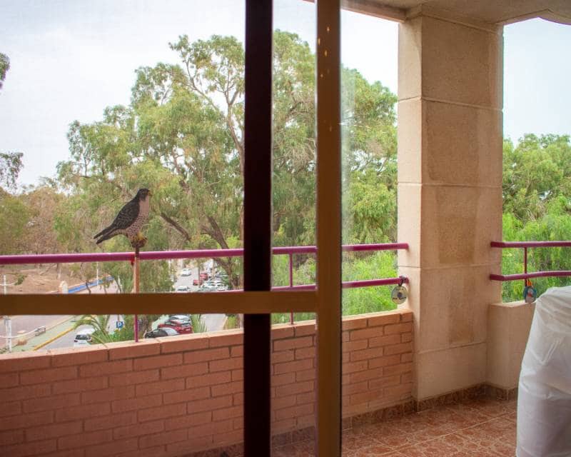 3 camera da letto Appartamento in vendita in Guardamar del Segura - 425.000 € (Rif: 8668690)