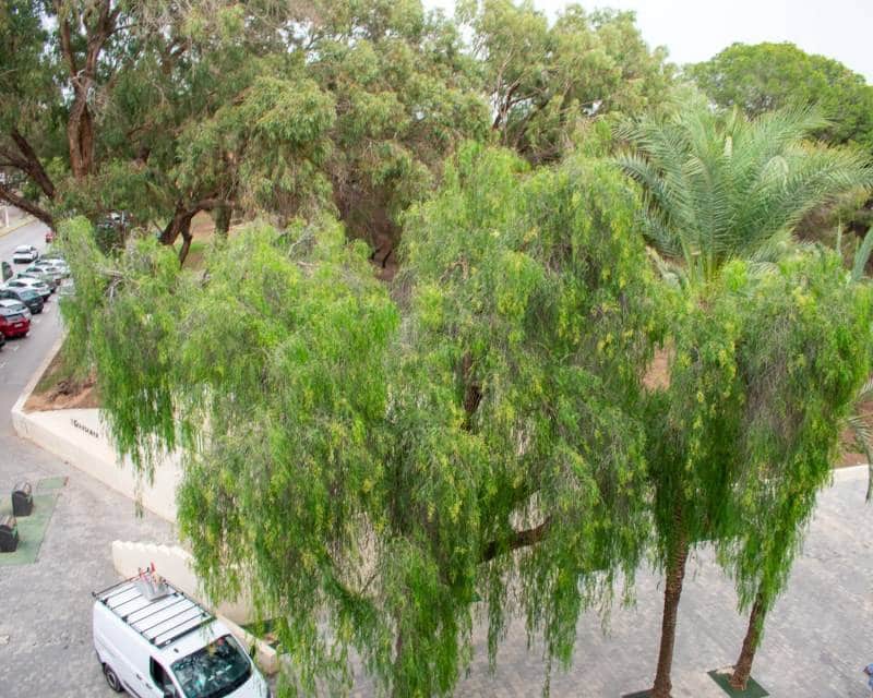 3 camera da letto Appartamento in vendita in Guardamar del Segura - 425.000 € (Rif: 8668690)