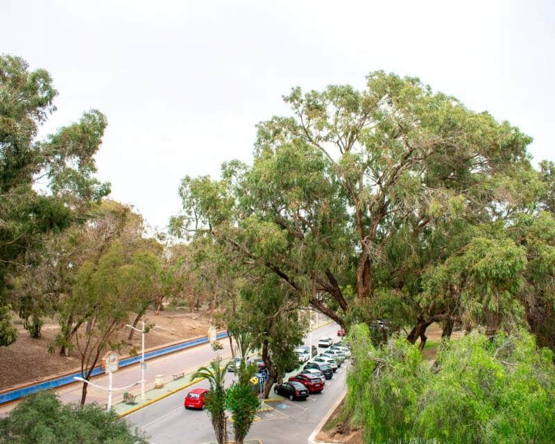 3 camera da letto Appartamento in vendita in Guardamar del Segura - 425.000 € (Rif: 8668690)