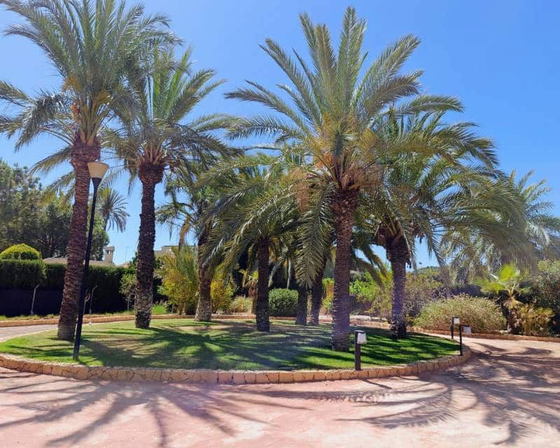 6 soveværelse Villa til salg i Elche / Elx med swimmingpool garage - € 1.250.000 (Ref: 8706180)