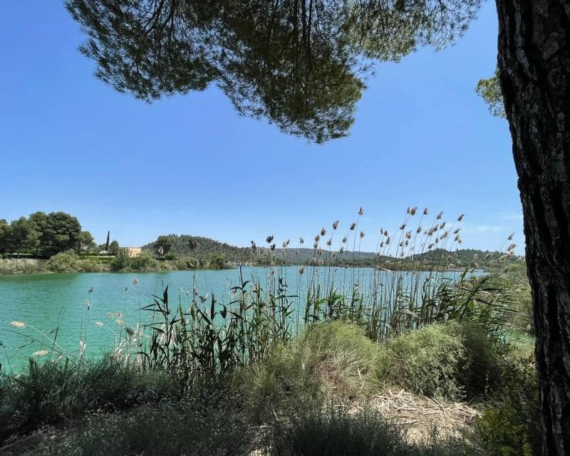 3 Zimmer Villa zu verkaufen in Calasparra mit Pool Garage - 339.000 € (Ref: 8790334)