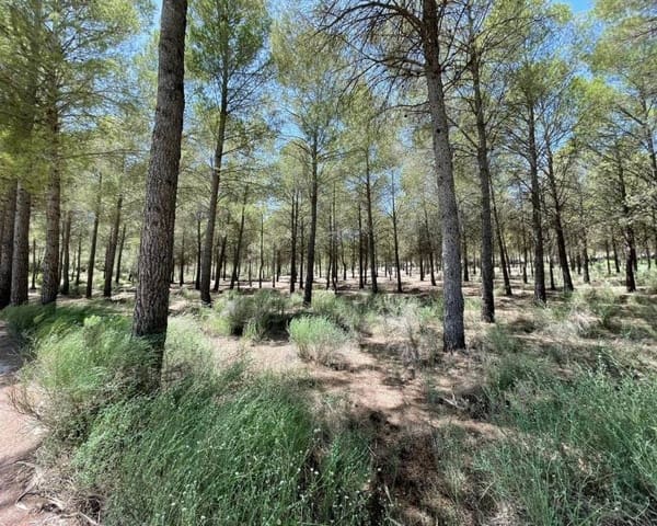 3 sypialnia Willa na sprzedaż w Calasparra z basenem garażem - 335 000 € (Ref: 8790334)