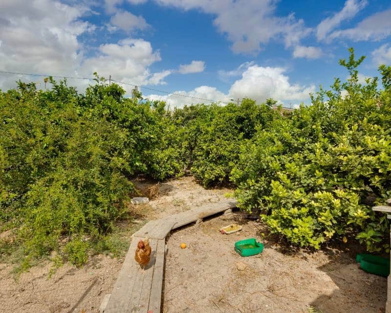 7 soverom Villa til salgs i Orihuela med svømmebasseng garasje - € 1 200 000 (Ref: 8835917)