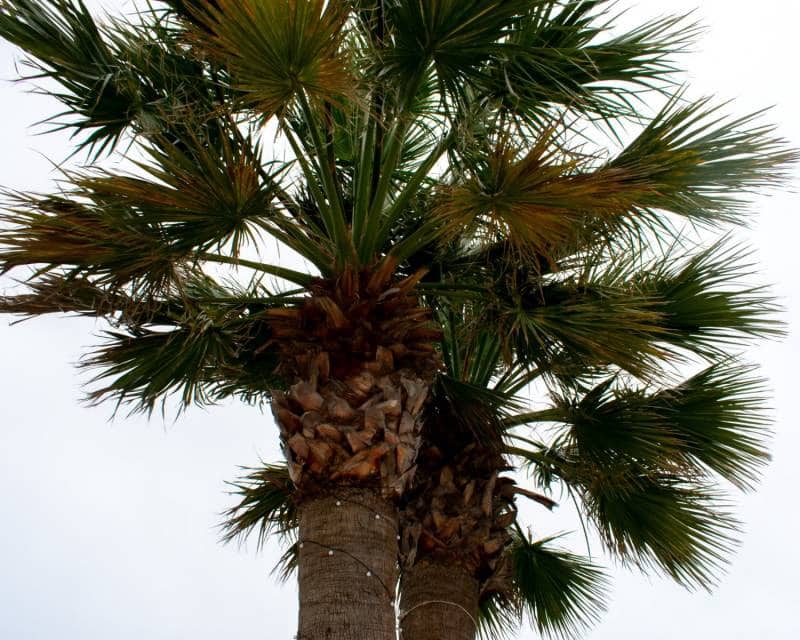 7 soveværelse Villa til salg i La Manga del Mar Menor med swimmingpool garage - € 1.050.000 (Ref: 8918359)