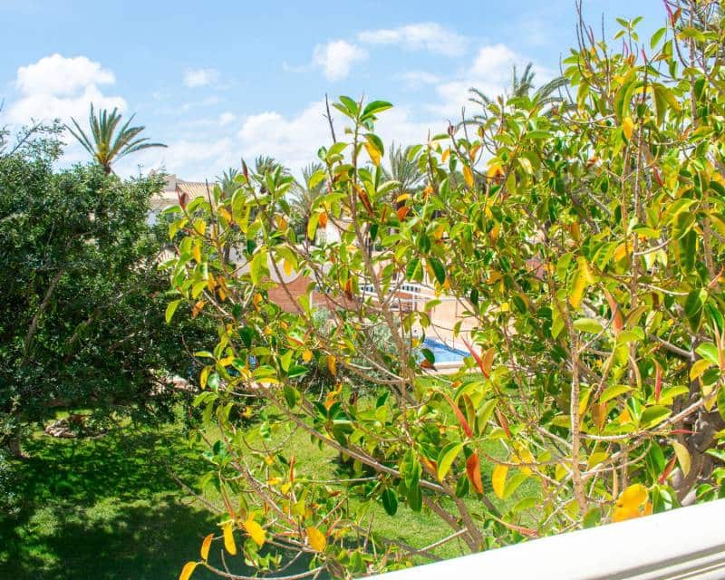 7 slaapkamer Villa te koop in Orihuela Costa met zwembad garage - € 1.490.000 (Ref: 8967268)