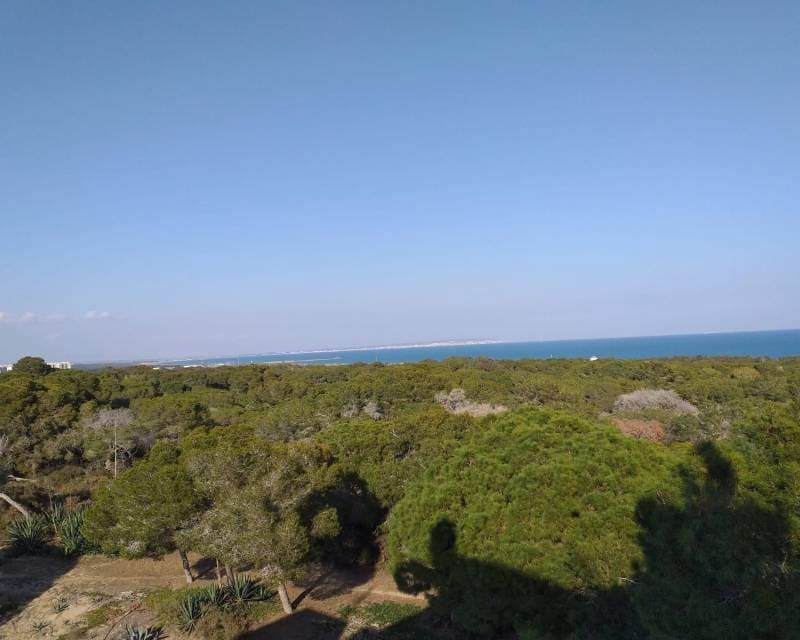 3 soveværelse Lejlighed til salg i Guardamar del Segura med swimmingpool - € 370.000 (Ref: 8969487)