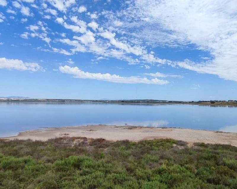 Building Plot for sale in Guardamar del Segura - € 5,360,000 (Ref: 8977196)