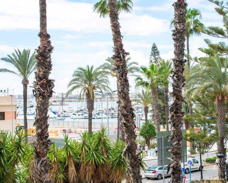 2 makuuhuone Ranta-asunto myytävänä paikassa Torrevieja - 346 500 € (Ref: 8977204)