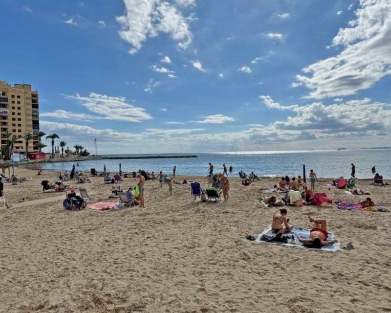 4 chambre Appartement à vendre à Torrevieja - 489 000 € (Ref: 9049763)