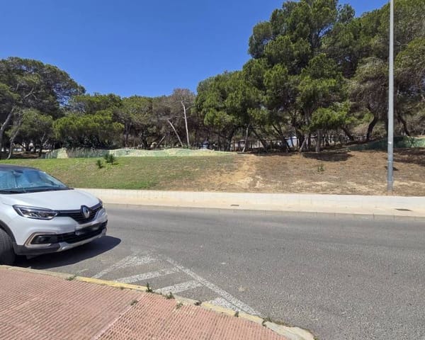 Byggegrund til salg i Zona Pueblo, Guardamar del Segura - € 2.200.000 (Ref: 9074202)