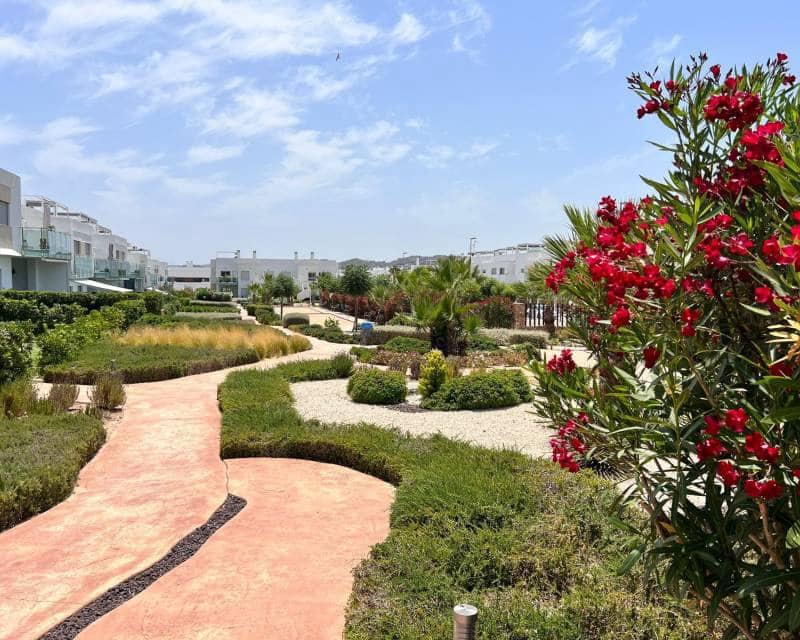 1 soveværelse Lejlighed til salg i Orihuela med swimmingpool - € 179.000 (Ref: 9105368)