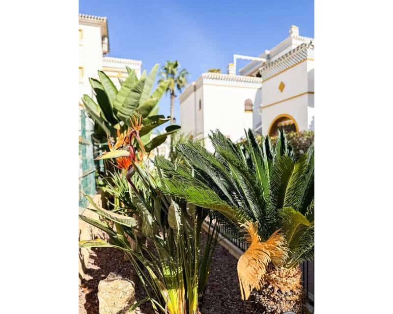 3 soveværelse Penthouse til salg i La Mata med swimmingpool - € 269.000 (Ref: 9126046)