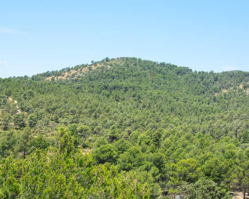 8 soveværelse Villa til salg i Onil med swimmingpool - € 2.180.000 (Ref: 9158333)