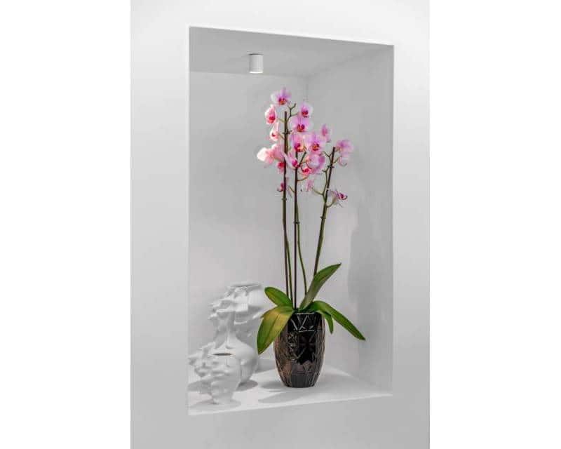 4 soveværelse Villa til salg i Guardamar del Segura med swimmingpool garage - € 1.390.000 (Ref: 9172078)