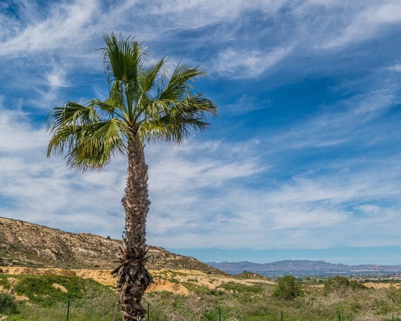 3 quarto Casa em Banda para venda em Algorfa com piscina garagem - 375 000 € (Ref: 9181489)