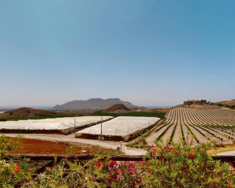 5 soveværelse Villa til salg i Calabardina med swimmingpool garage - € 880.000 (Ref: 9237968)