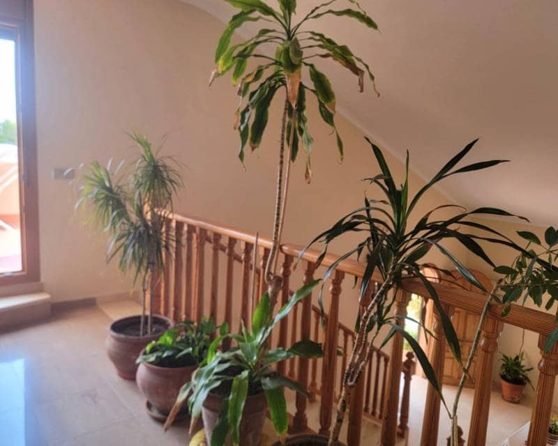 4 sovrum Villa till salu i Aguas Nuevas med pool - 1 000 000 € (Ref: 9267730)