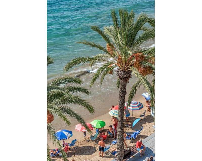 3 soveværelse Strandlejlighed til salg i Torrevieja med garage - € 475.000 (Ref: 9307042)