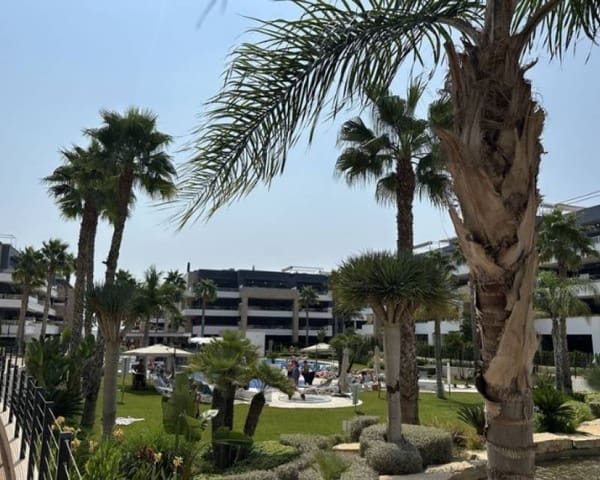 2 slaapkamer Appartement te koop in Playa Flamenca, Orihuela met zwembad garage - € 435.000 (Ref: 9328616)