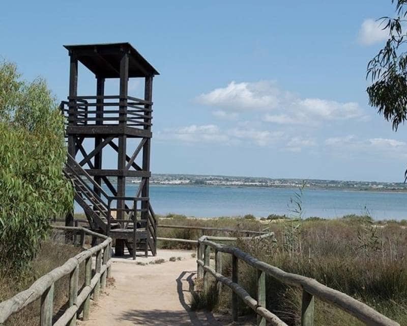 2 bedroom Apartment for sale in La Mata - € 170,000 (Ref: 9383910)