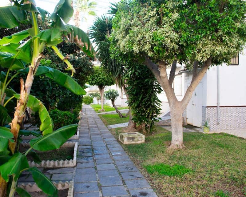 Apartamento de 1 habitación en Torrevieja en venta con piscina - 129.000 € (Ref: 9426273)