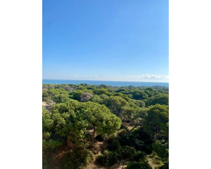 2 camera da letto Appartamento in vendita in Guardamar del Segura - 349.000 € (Rif: 9435150)